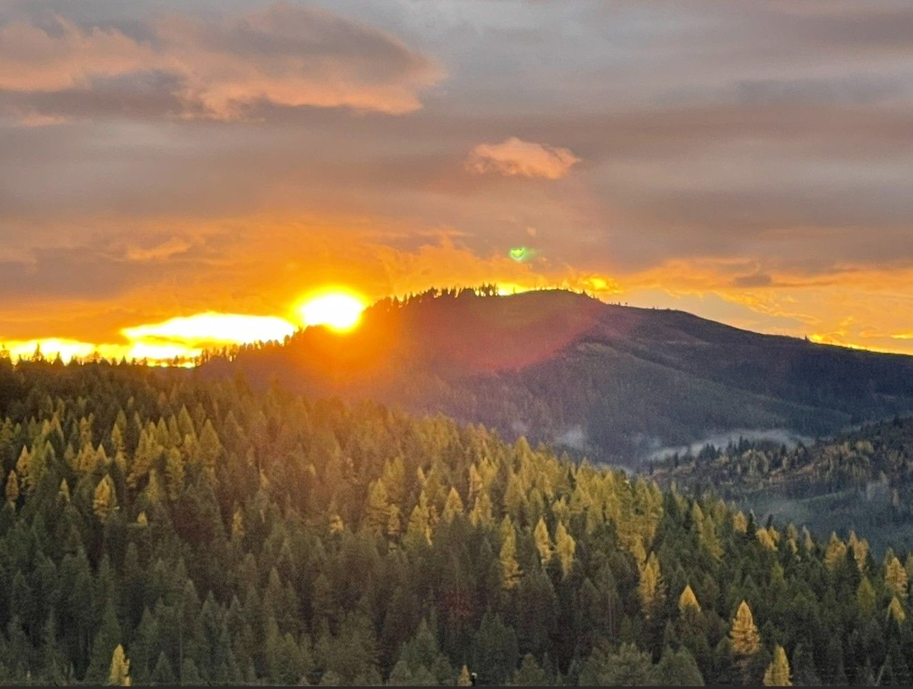 The 2-mile private access road in fall