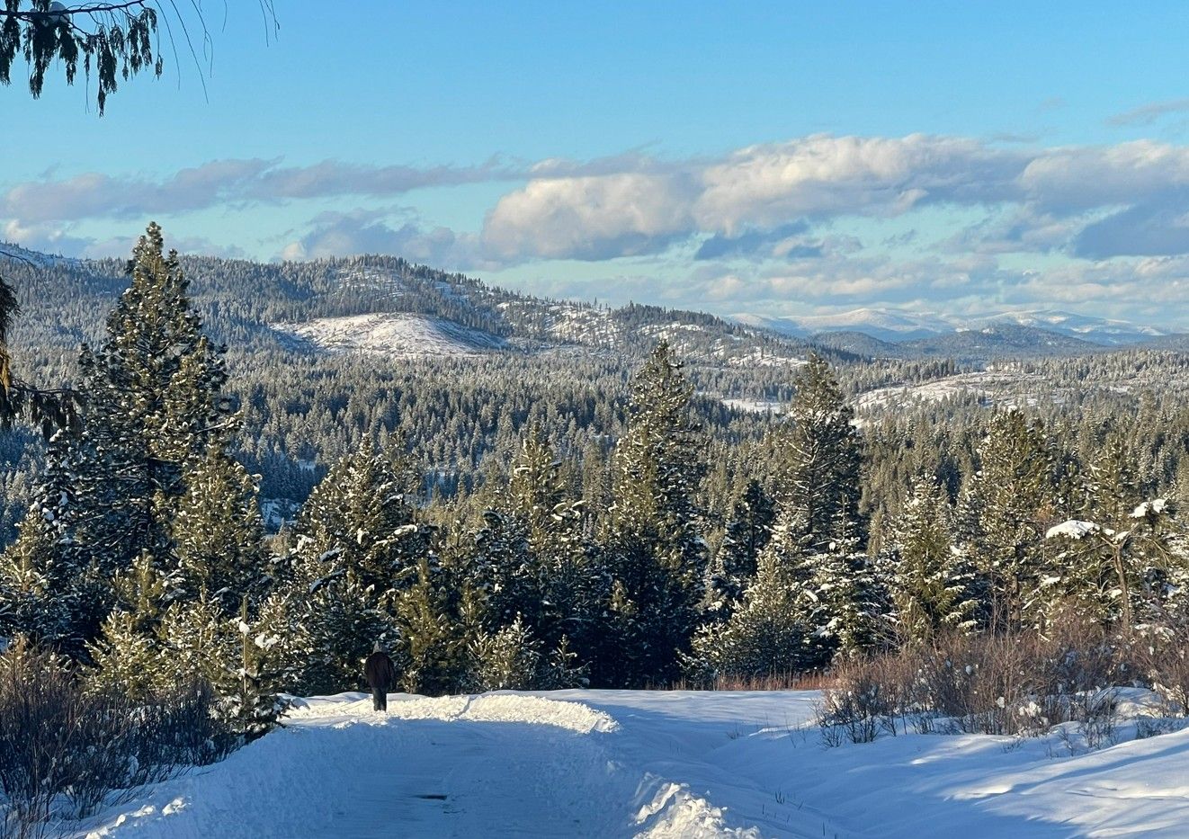 The 2-mile private access road in winter